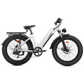 Cycrown CycVerve Fat Tire Ebike